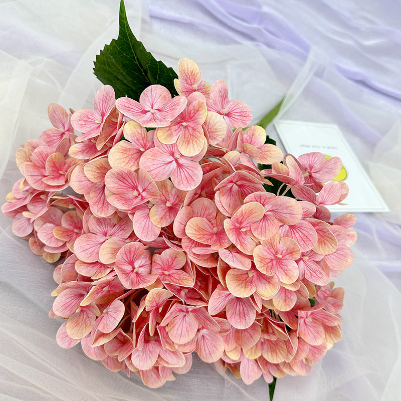H0015 Hydrangea