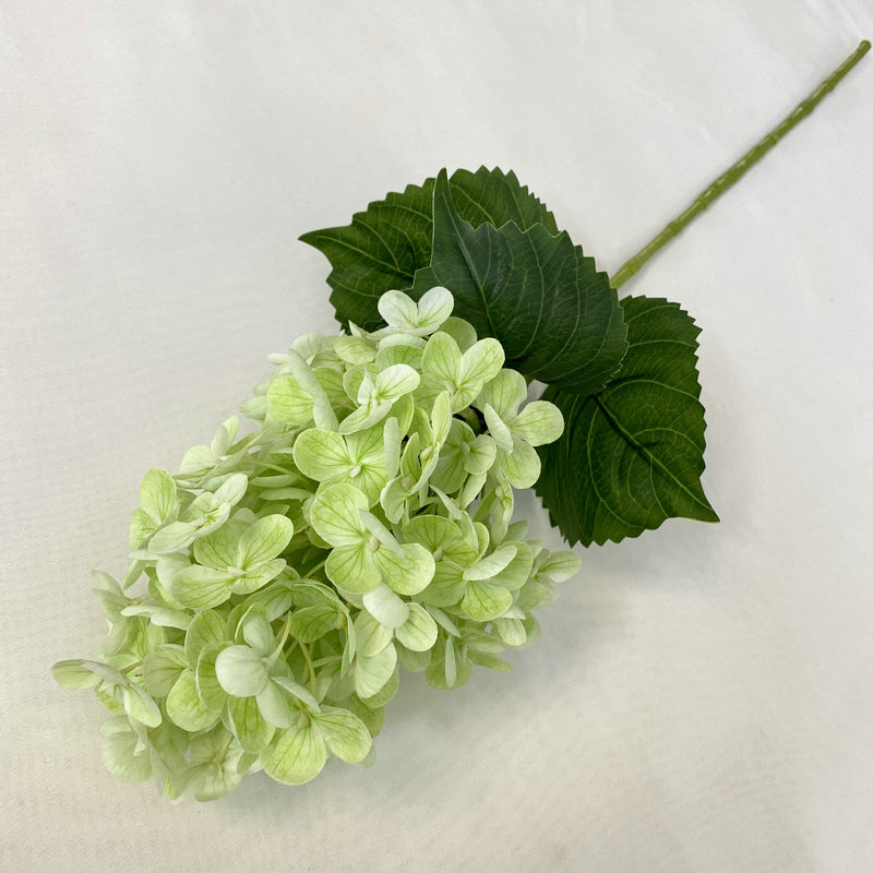 H0042 Hydrangea