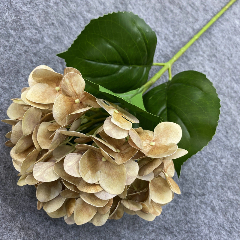 H0037 Hydrangea