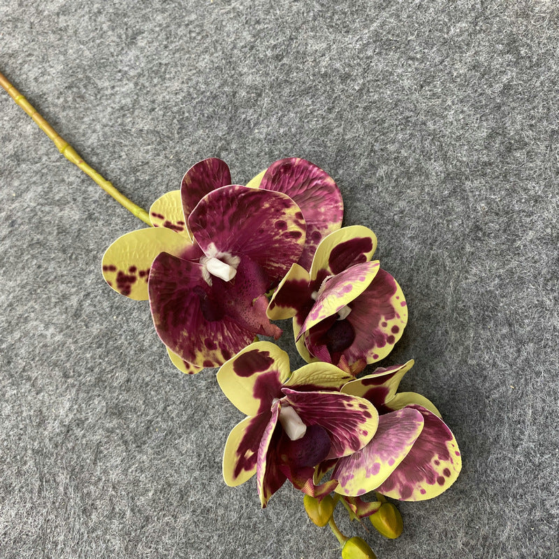 O0004 3D printed 5-head Phalaenopsis