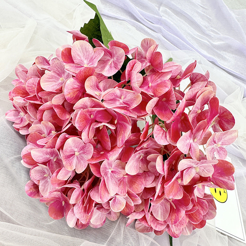 H0015 Hydrangea