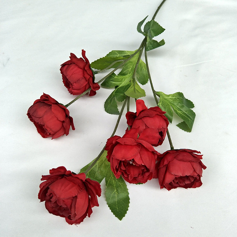 P0018 Seven-headed Peony