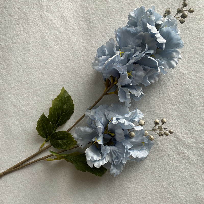 H0023 Hydrangea