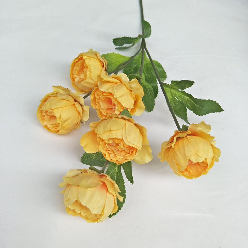 P0018 Seven-headed Peony