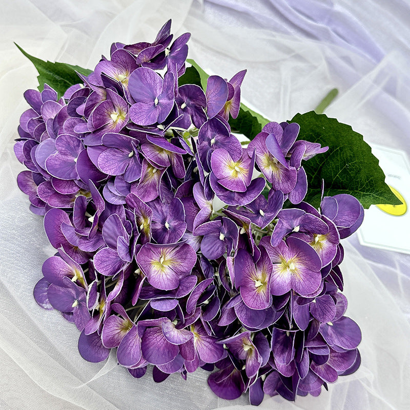 H0015 Hydrangea