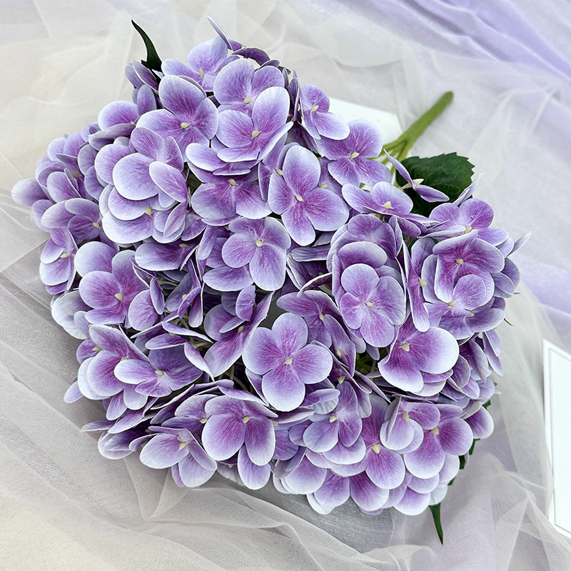 H0015 Hydrangea