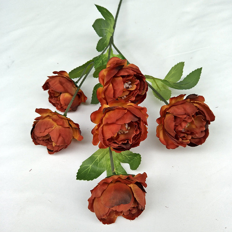 P0018 Seven-headed Peony