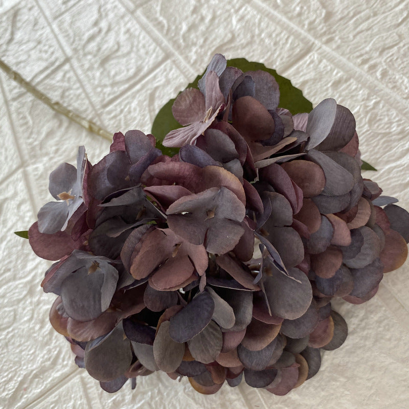 H0038 Hydrangea