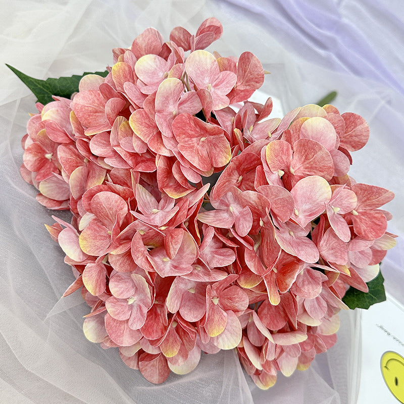 H0015 Hydrangea