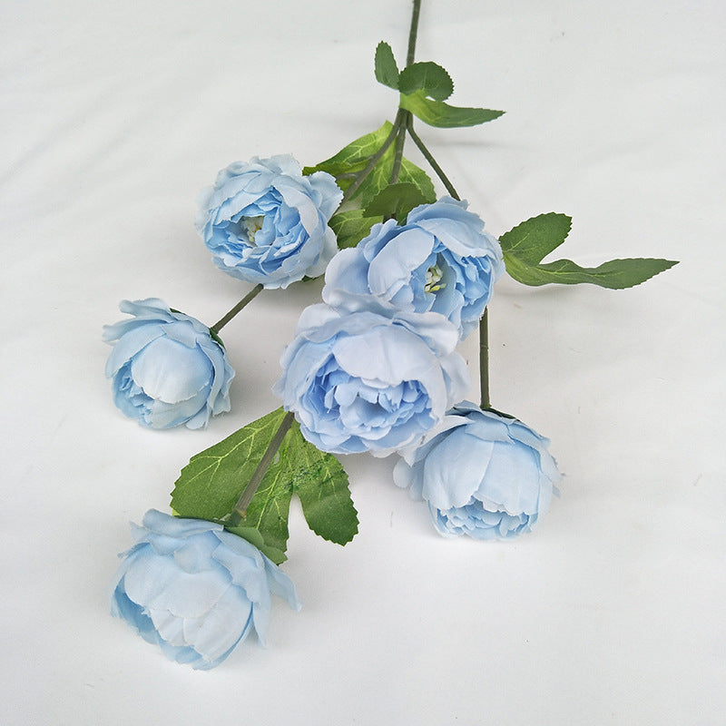 P0018 Seven-headed Peony