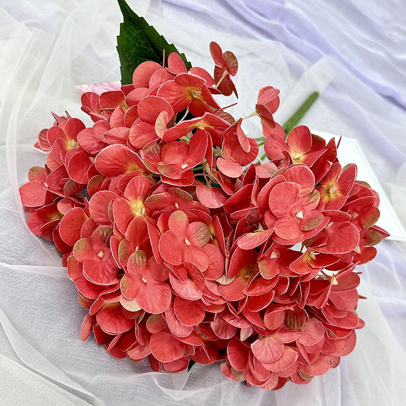 H0015 Hydrangea