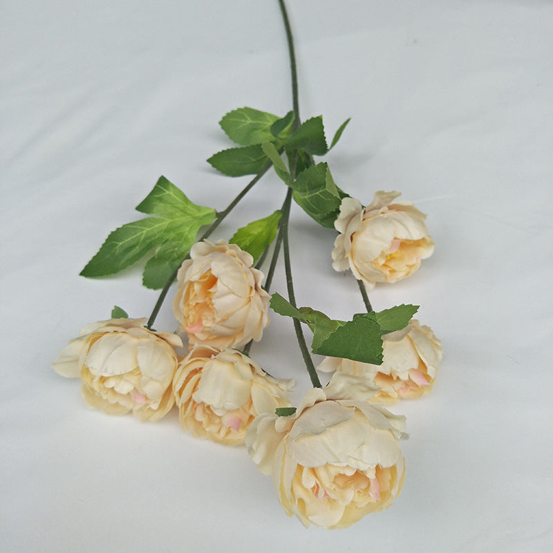 P0018 Seven-headed Peony