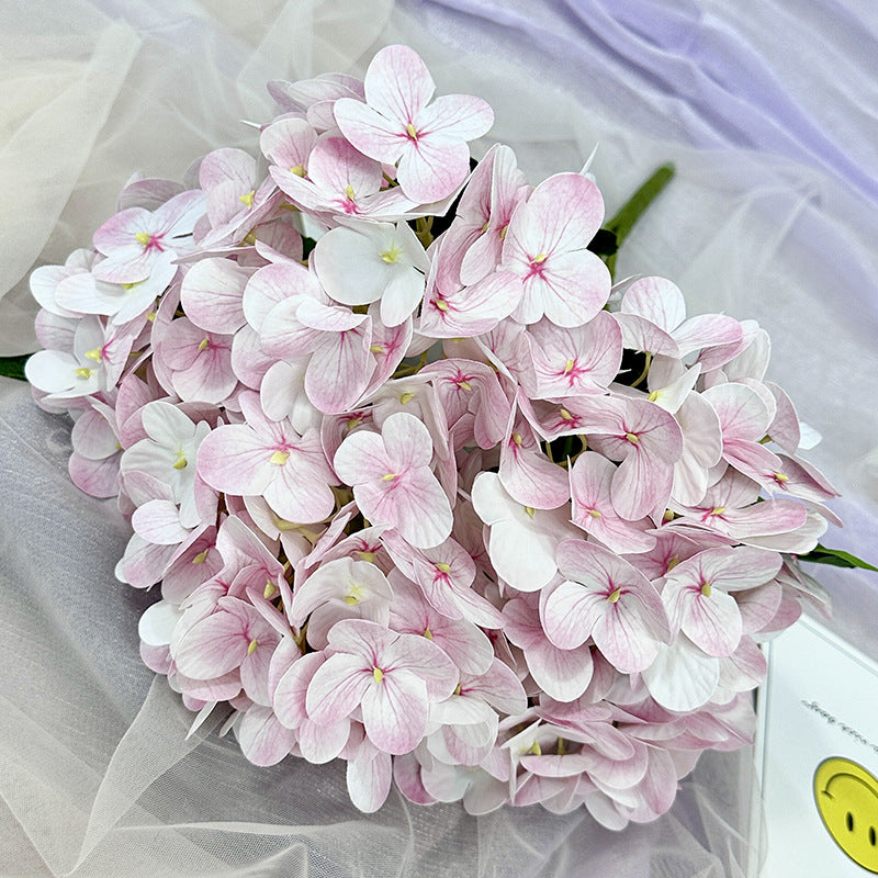 H0015 Hydrangea