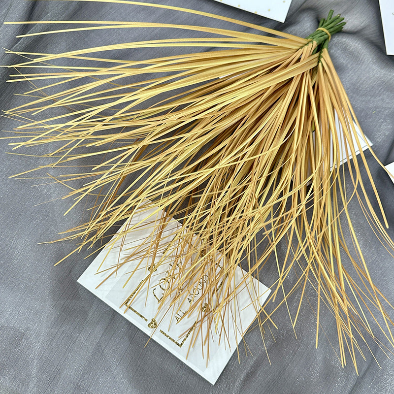 Reed grass 001