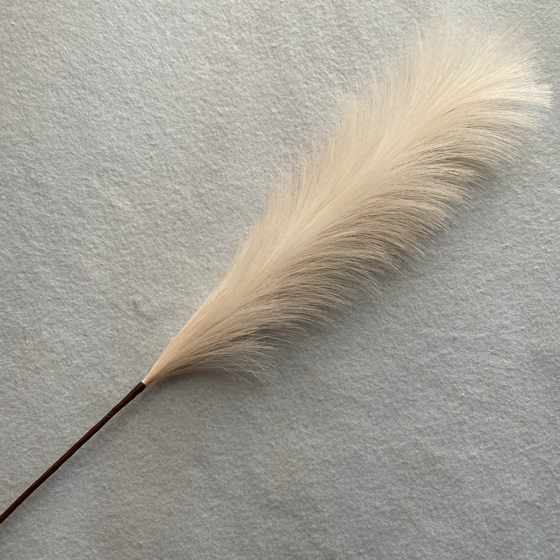 Reed grass 003