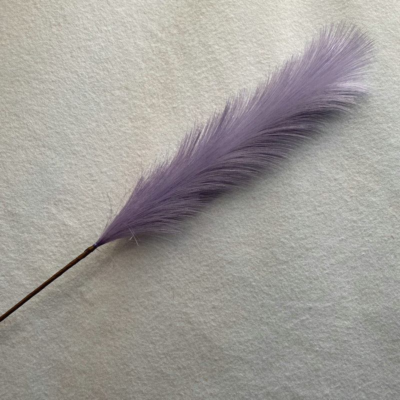 Reed grass 003