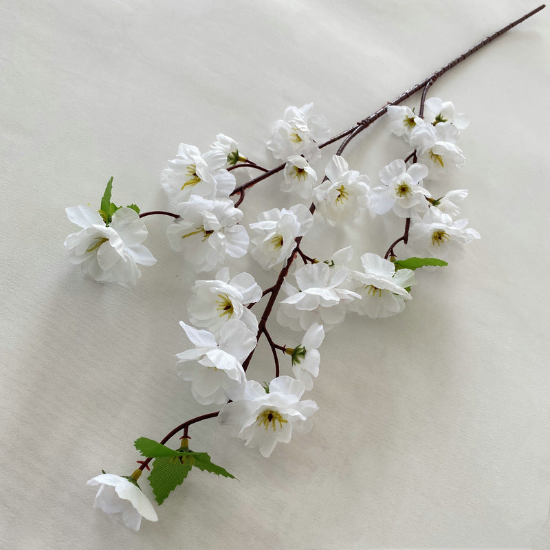 peach blossom 004
