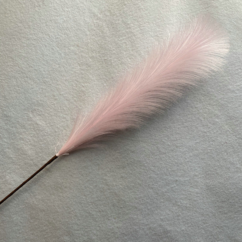 Reed grass 003