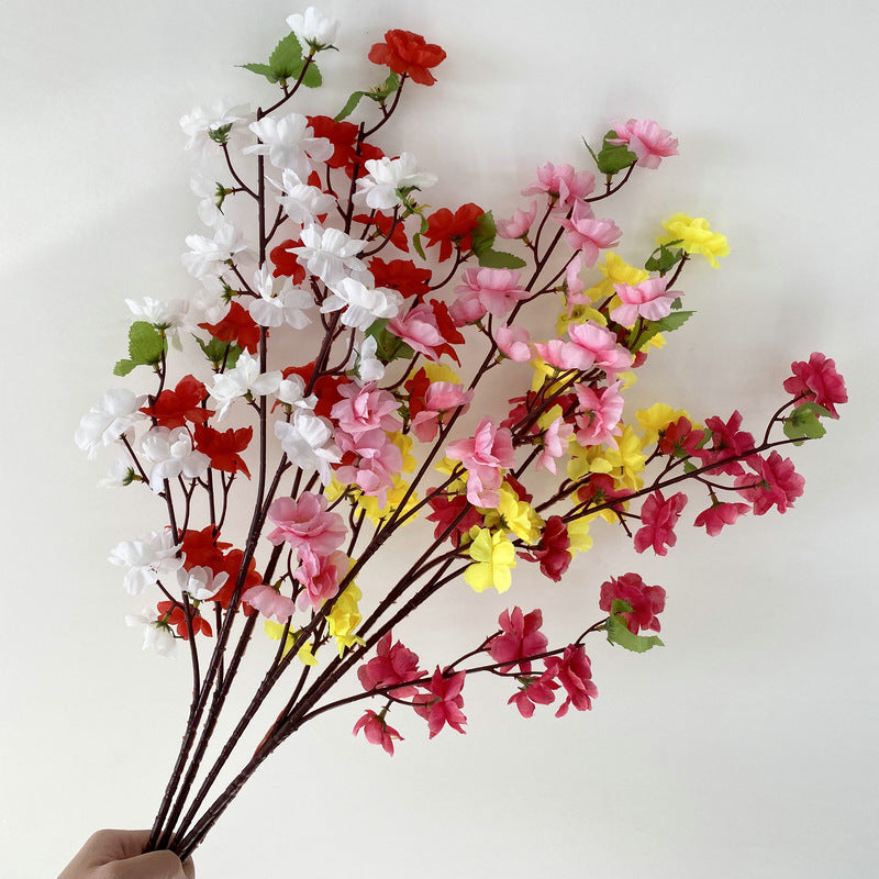 peach blossom 004