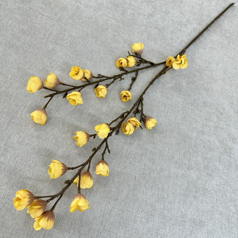 plump blossom008