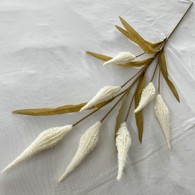 Reed grass 008