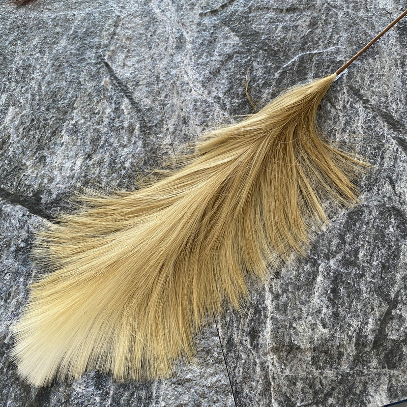 Reed grass 007