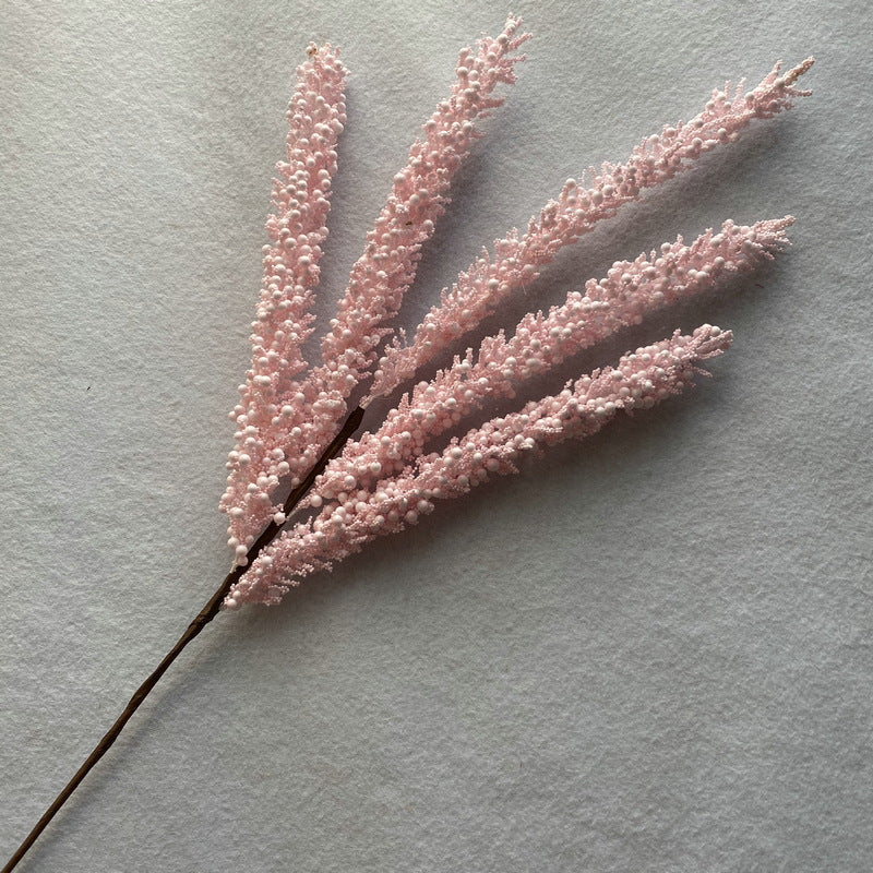 Reed grass 009