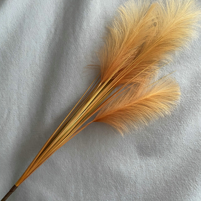 Reed grass 010