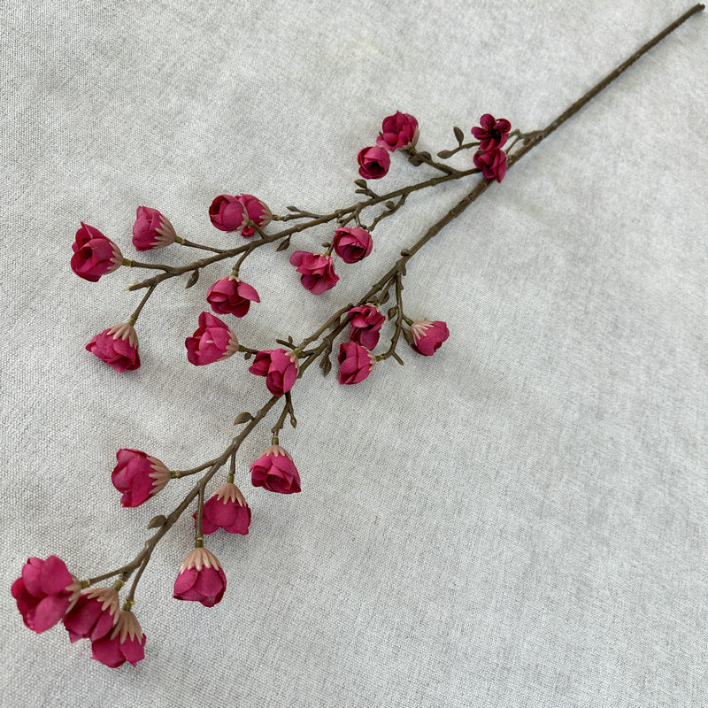 plump blossom008