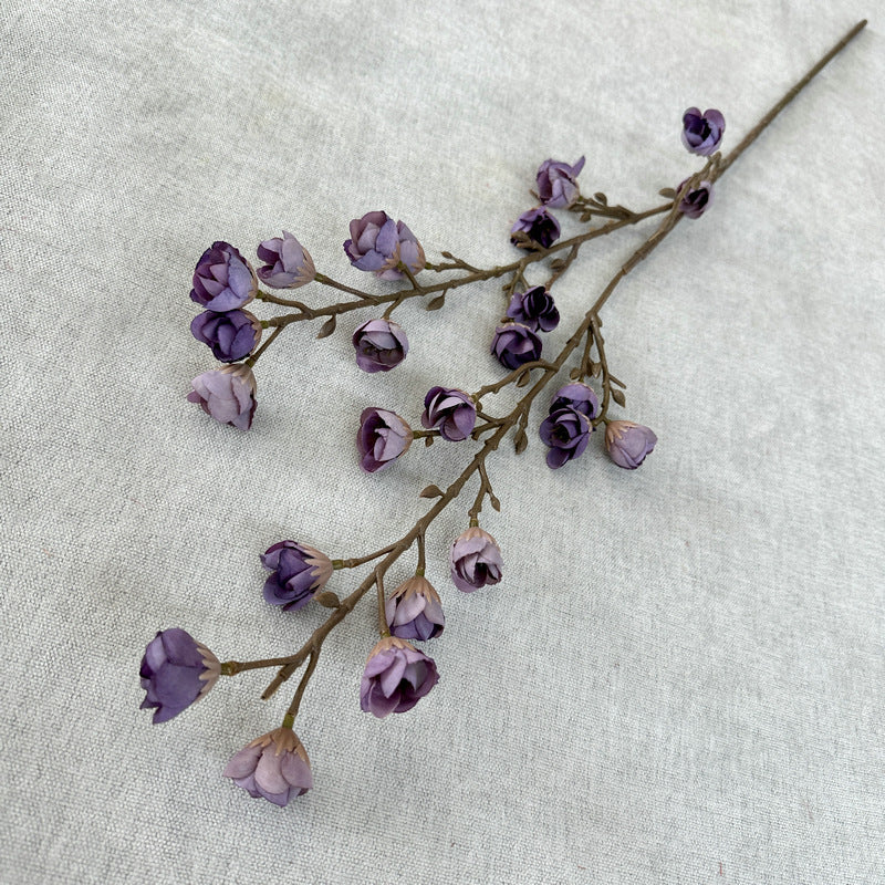 plump blossom008