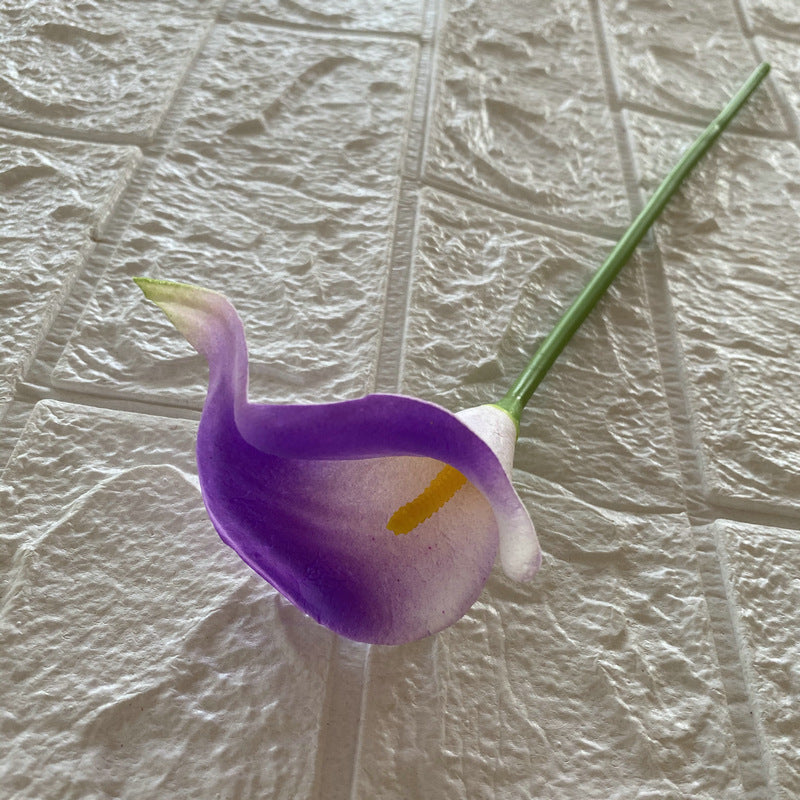 Calla lily 001