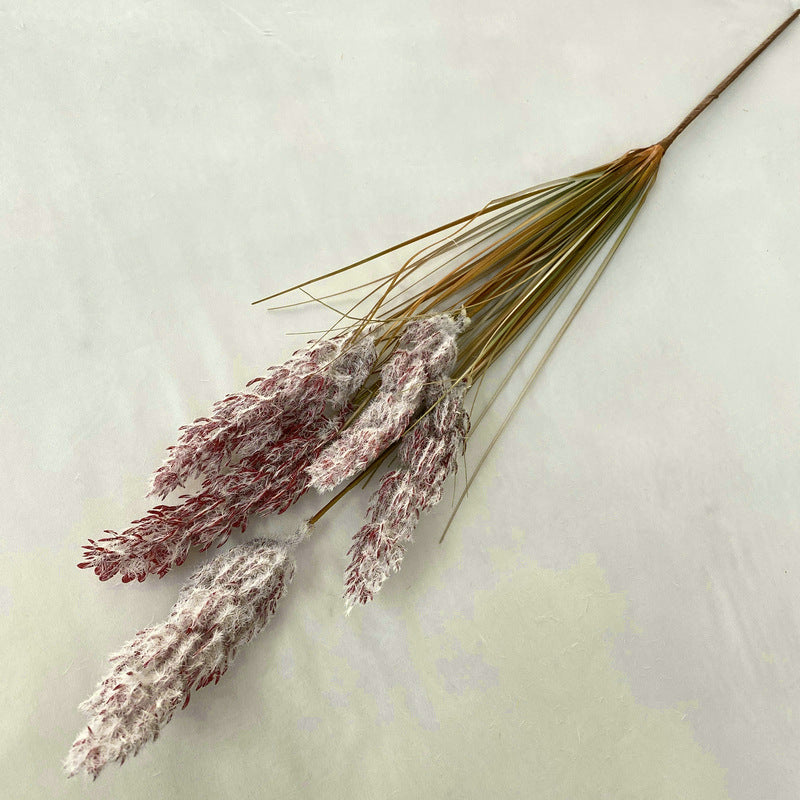 Reed Grass 005
