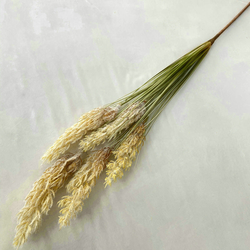 Reed Grass 005