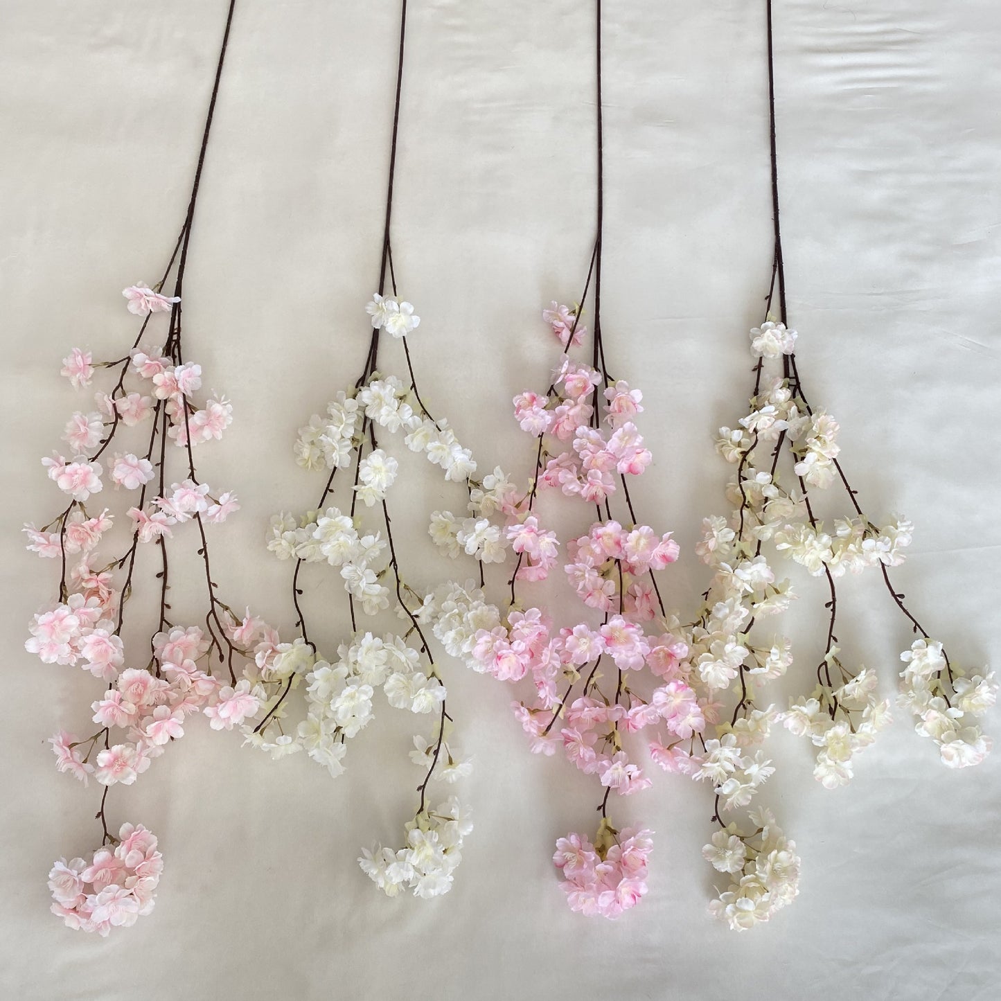 Cherry blossoms 012