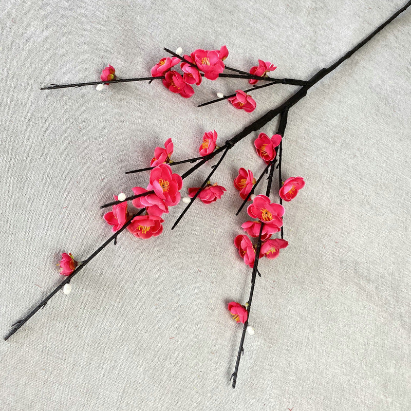 plump blossom009
