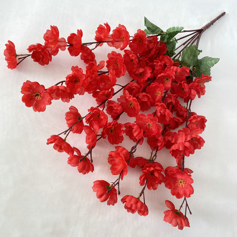 peach blossom001