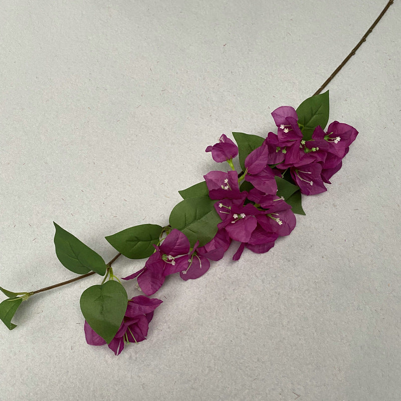 Plum Blossom001