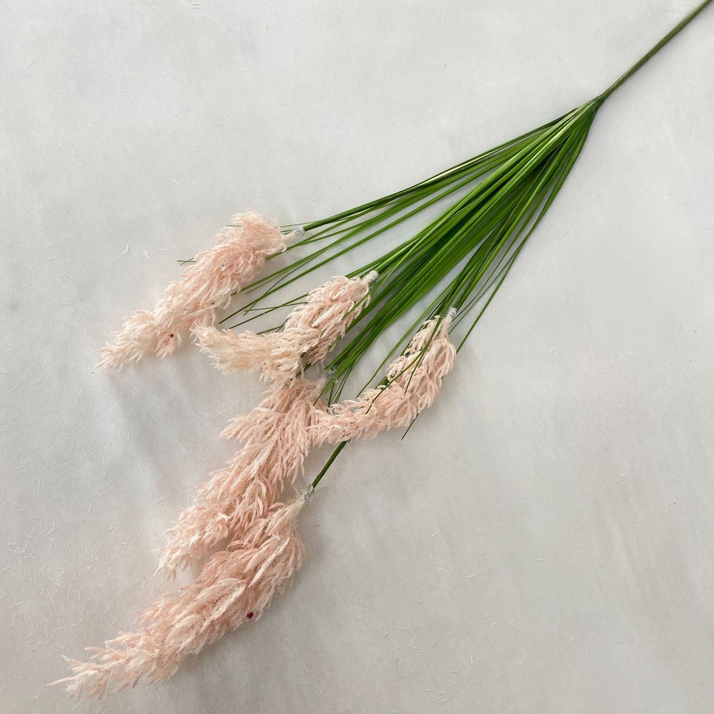 Reed Grass 005