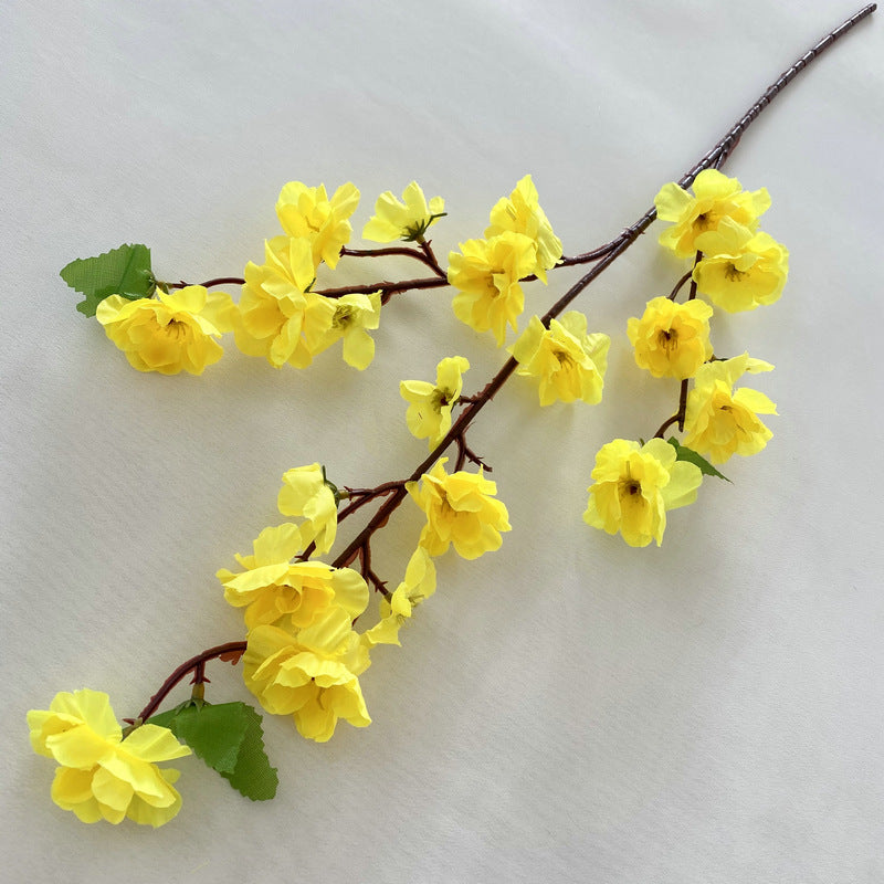 peach blossom 004