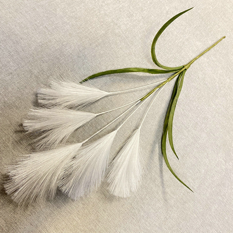 Reed grass 004