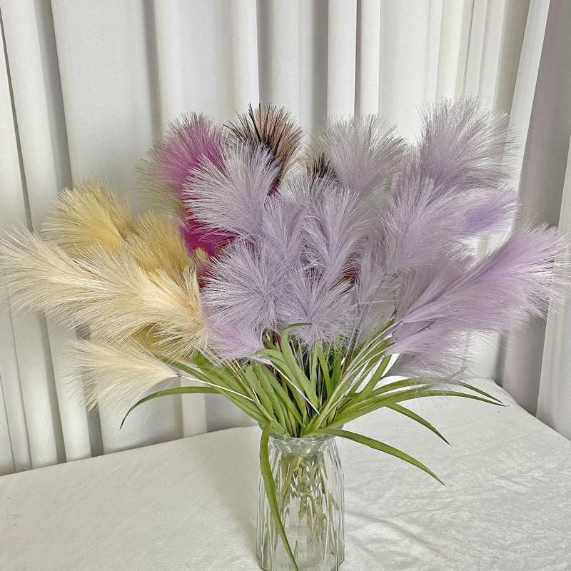 Reed grass 004
