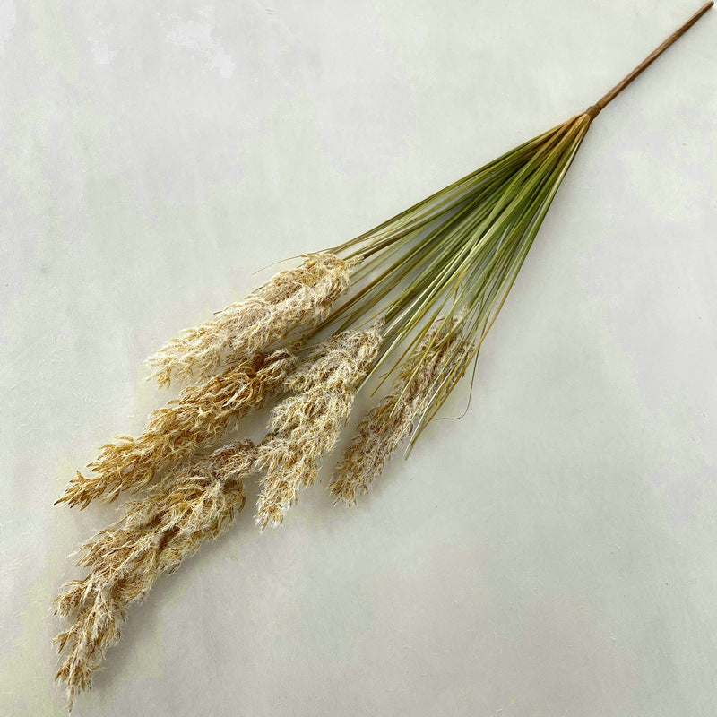 Reed Grass 005