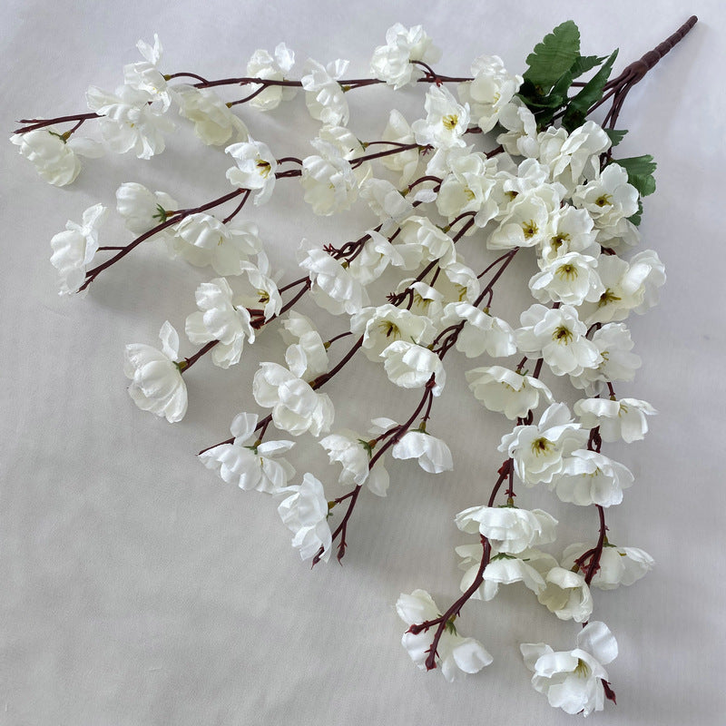 peach blossom001