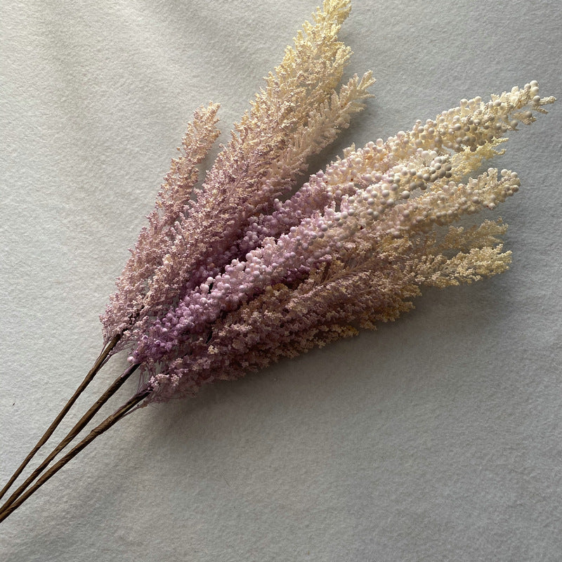 Reed grass 009