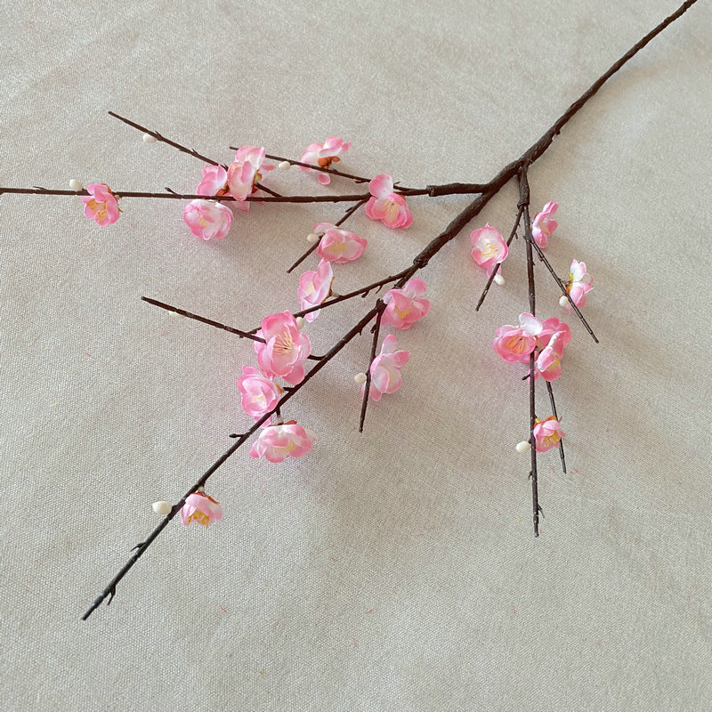 plump blossom009