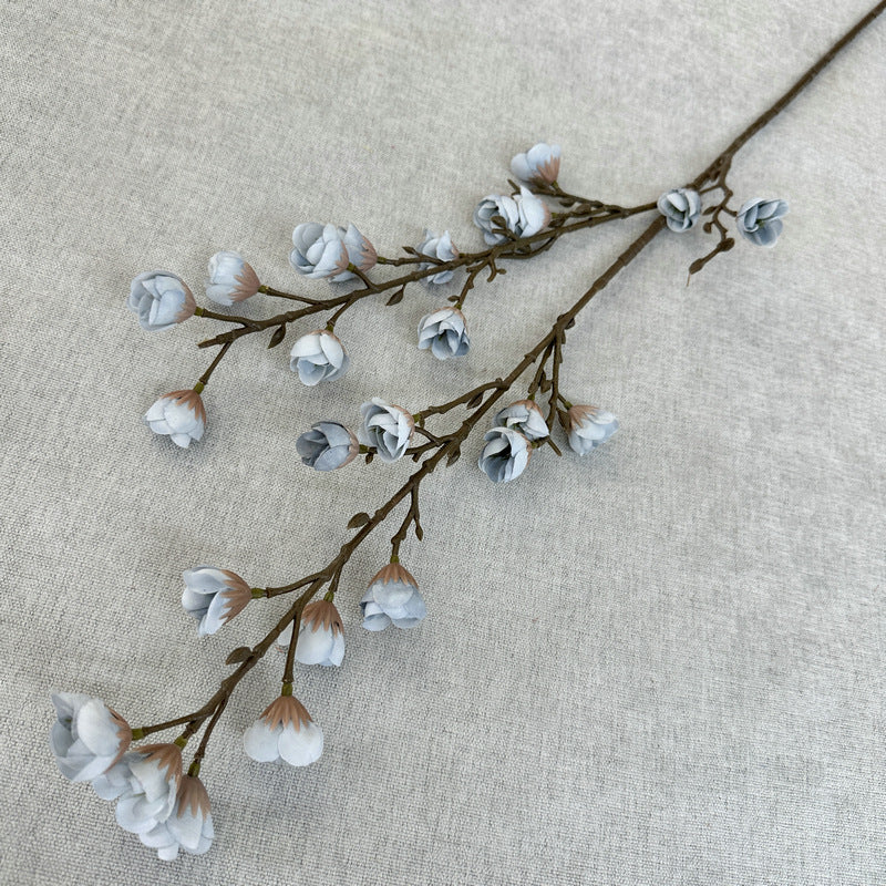 plump blossom008