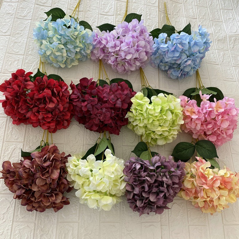 H0010 Hydrangea