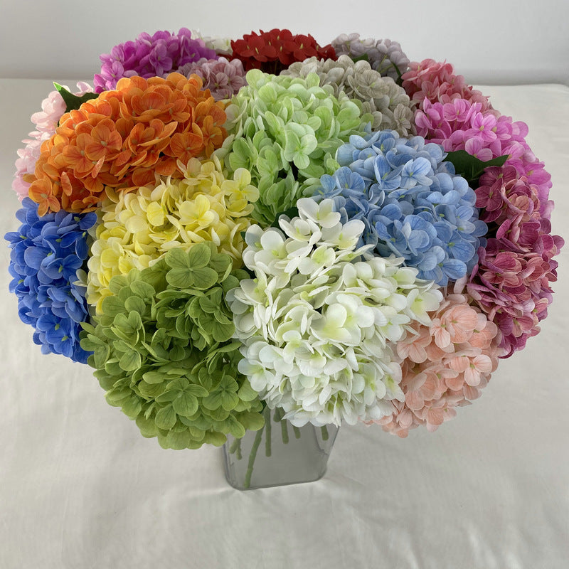 H0003 Hydrangea