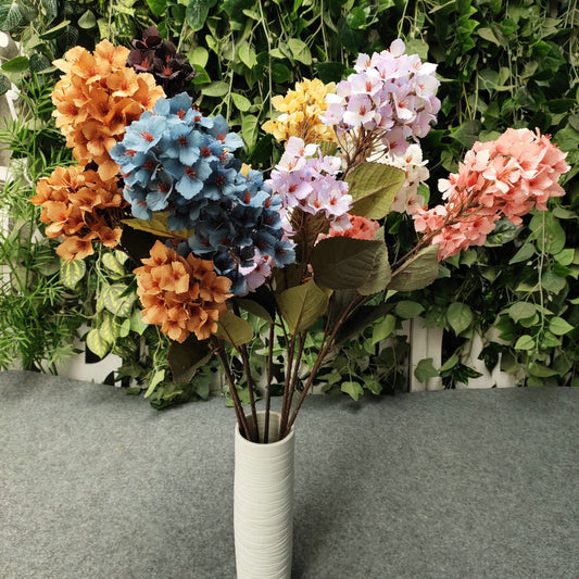 H0049 Hydrangea