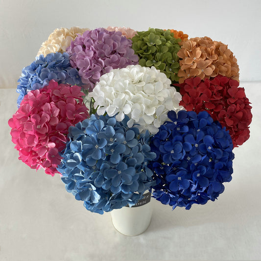 H0001 Hydrangea